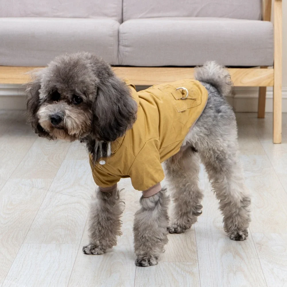Winterjas voor honden met capu - Winter Clothing Hiking recensie en prijs